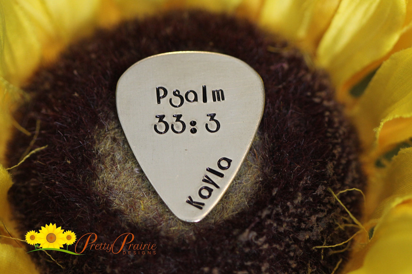 Bible Verse Guitar Pick, Christian Gift, Religious Pick, Church Band Member Gift, Bible Gift, Scripture Present, Custom Pick