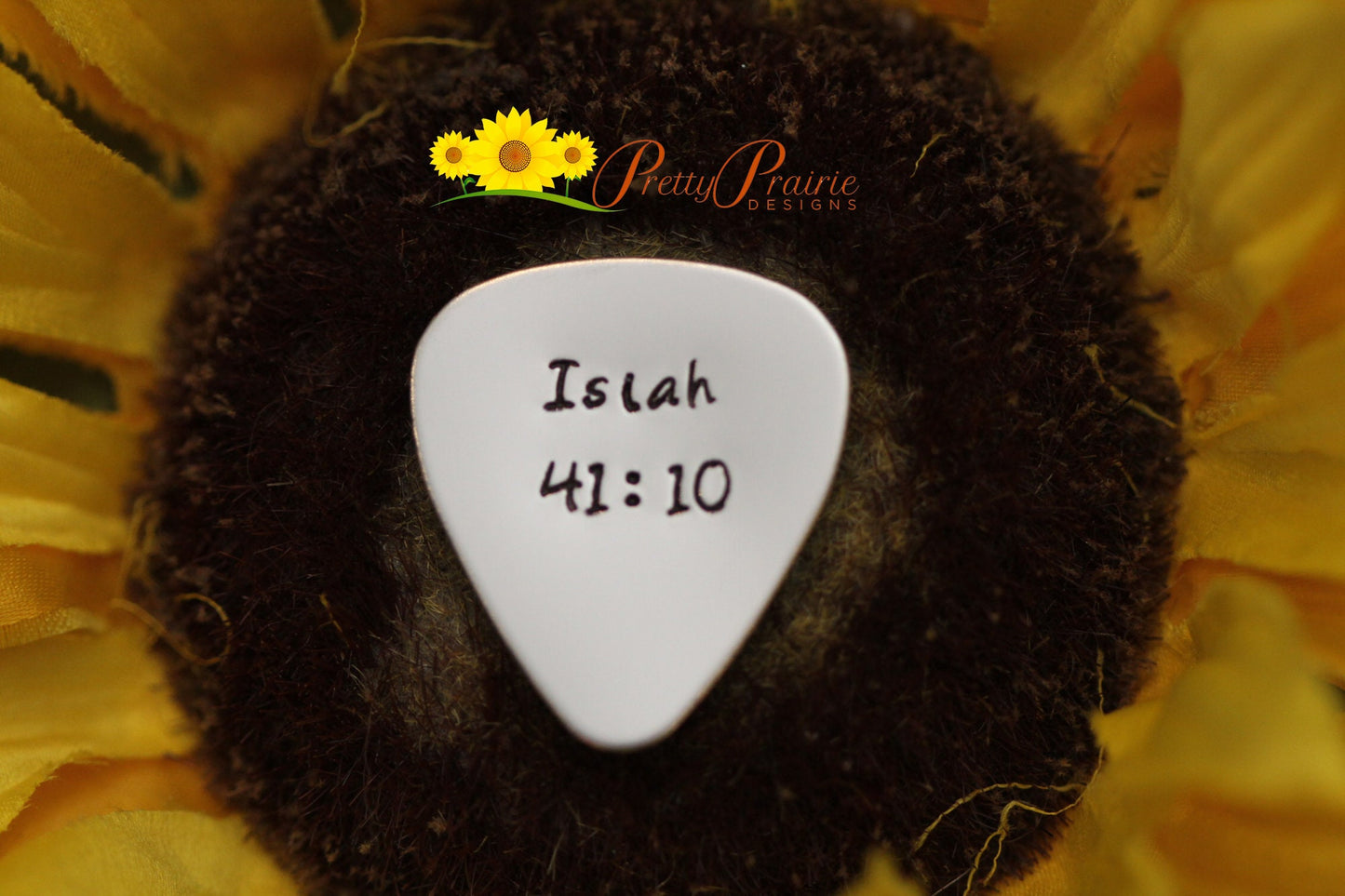 Bible Verse Guitar Pick, Christian Gift, Religious Pick, Church Band Member Gift, Bible Gift, Scripture Present, Custom Pick