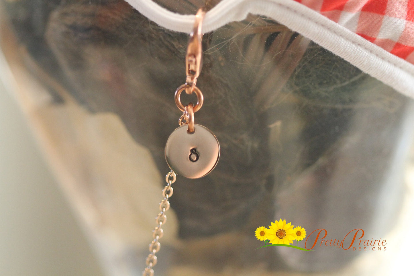 Rose Gold Face Mask Lanyard, Personalized Face Mask Chain, Face Mask Holder, Initial Face Mask Necklace, Custom Lanyard, Stainless Lanyard