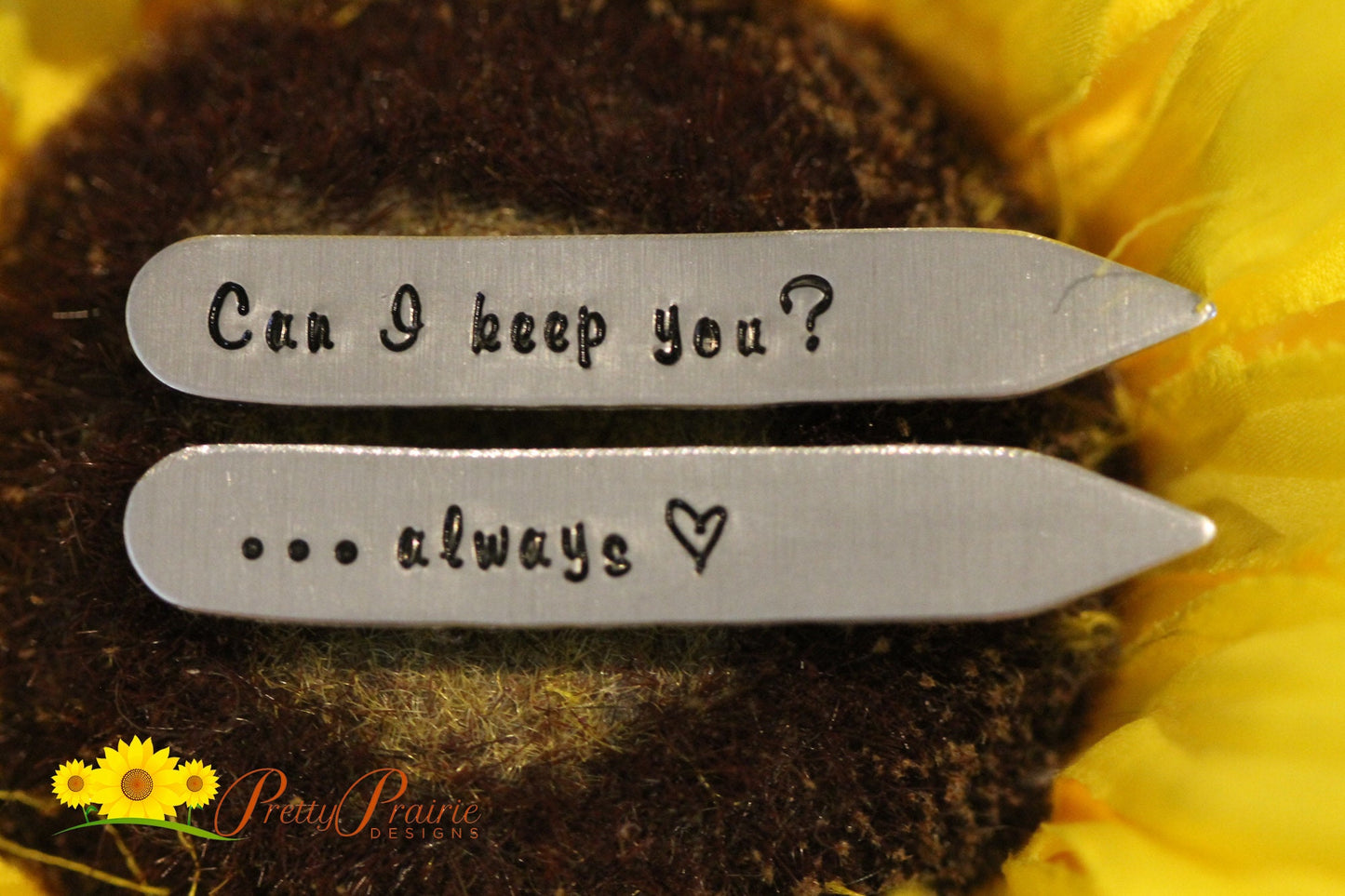 Can I Keep You Collar Stays, Men's Collar Stiffeners, Engagement Gift, Dress Shirt Accessories, Valentine's Gift for Him, Custom Collar Stay