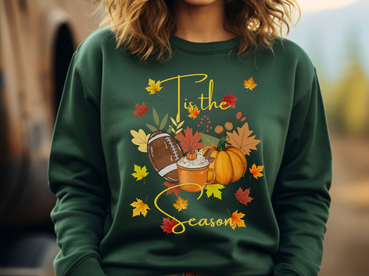 Tis the Season Sweatshirt, Thanksgiving Sweatshirt, Pumpkins and Football, Holiday Apparel, Fall Sweatshirt, Pumpkin Spice, Love Fall Shirt