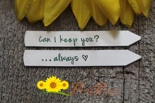 Can I Keep You Collar Stays, Men's Collar Stiffeners, Engagement Gift, Dress Shirt Accessories, Valentine's Gift for Him, Custom Collar Stay