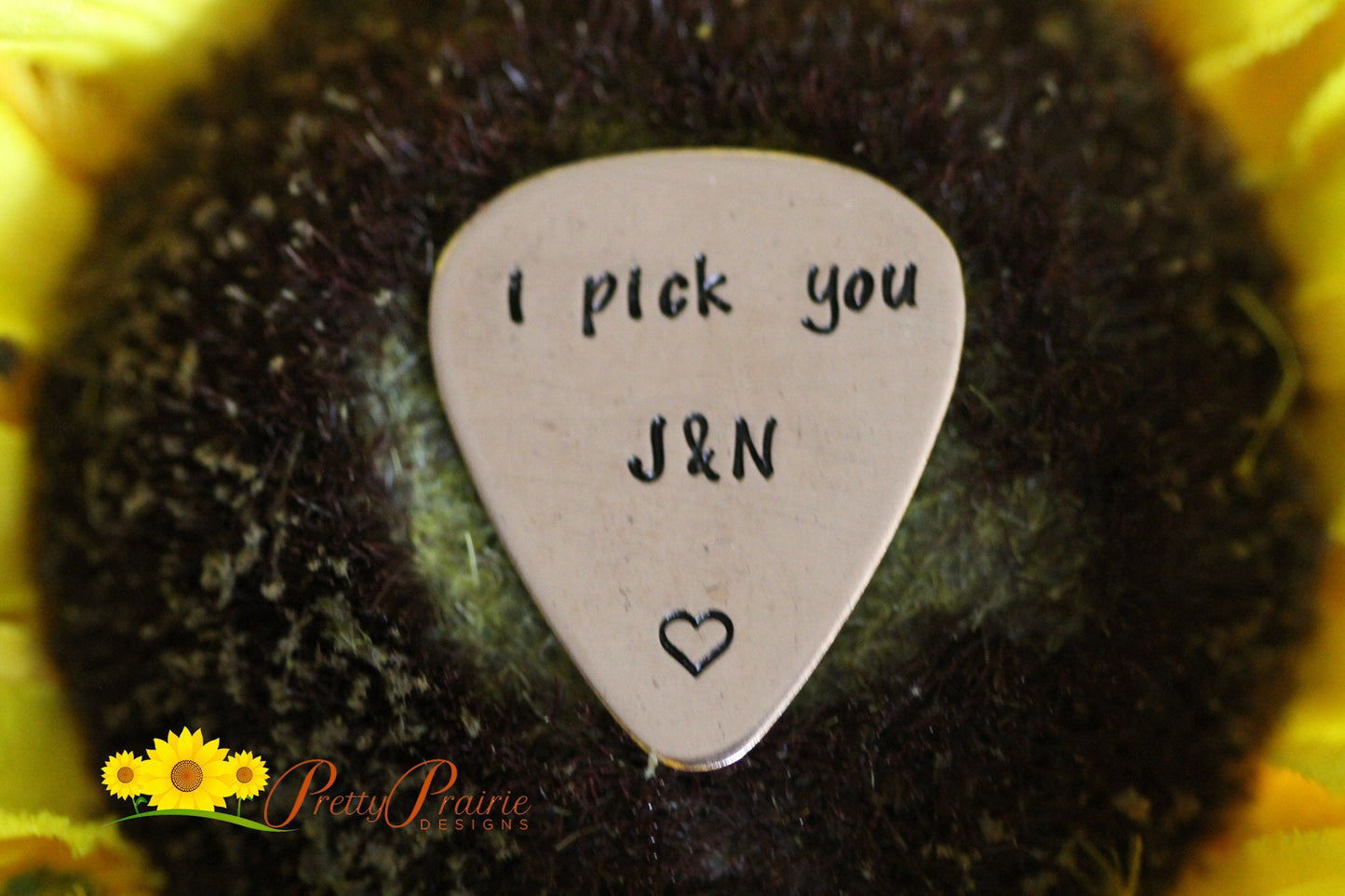 I Pick You with Initials Guitar Pick, Guitar Player Gift, Initial Pick, Musician Present, Hand Stamped Pick, Metal Pick, Promise Gift