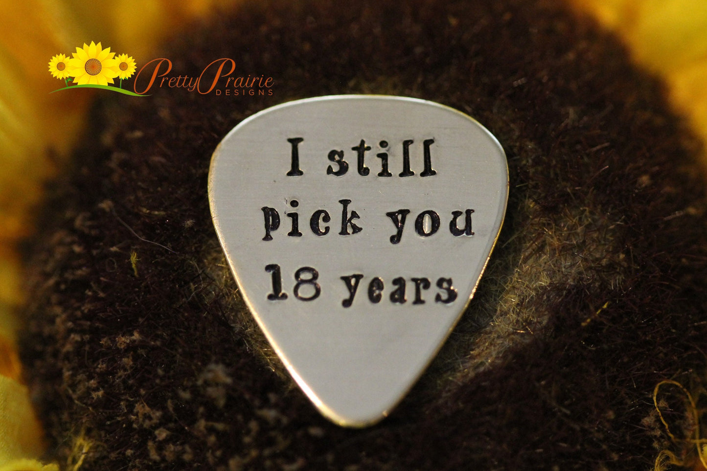 I Still Pick You Guitar Pick, Hand Stamped Pick, Engraved Guitar Accessory, Anniversary Guitar Pick, Gift for a Musician, Music Lover Gift