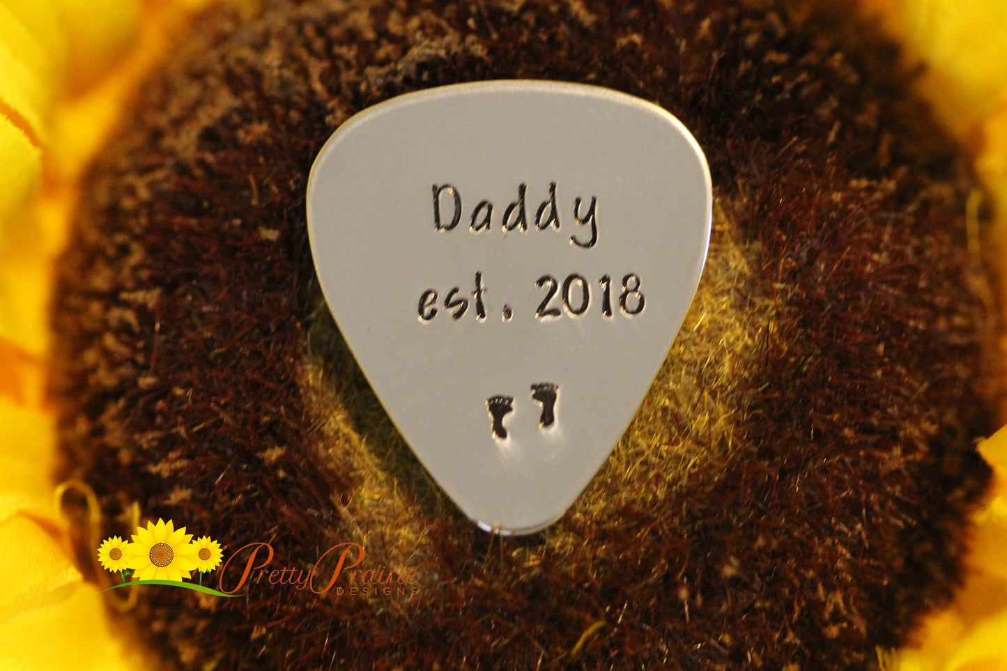 Daddy Established Guitar Pick, Grandpa Established, Father's Day Gift, Pregnancy Reveal, New Dad Guitar Pick, Birth Announcement, Metal Pick