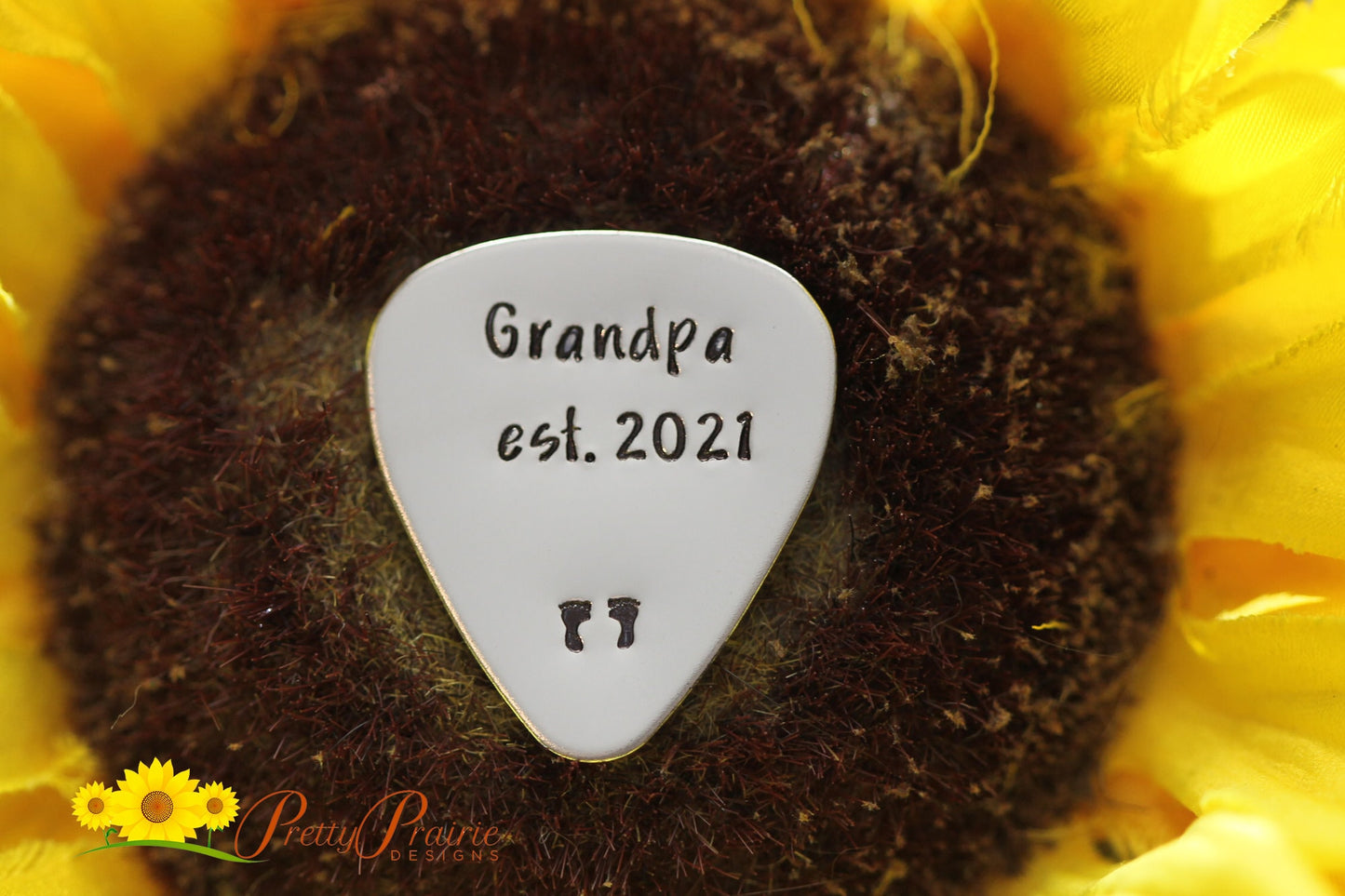 Daddy Established Guitar Pick, Grandpa Established, Father's Day Gift, Pregnancy Reveal, New Dad Guitar Pick, Birth Announcement, Metal Pick